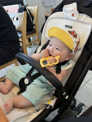 부에난소라하효마을 사진 8