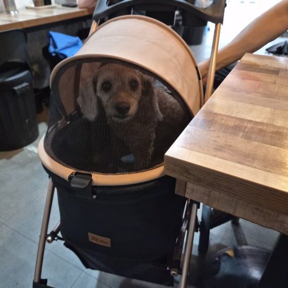 신조짬뽕 사진 4