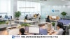 블로그 사진 8