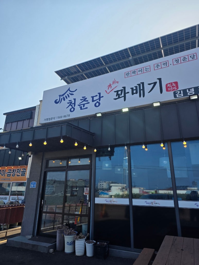 청춘당찹쌀꽈배기 김녕점 사진 2