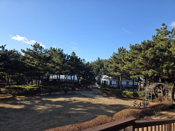 🍂 [2026 가을 워크샵 장소 추천] 워케이션과 힐링을 한 번에! 실패 없는 태안 단체 펜션 고르는 꿀팁…