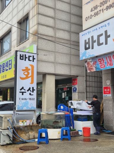 바다회수산 사진 6