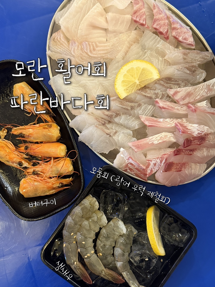 파란바다회 사진 7