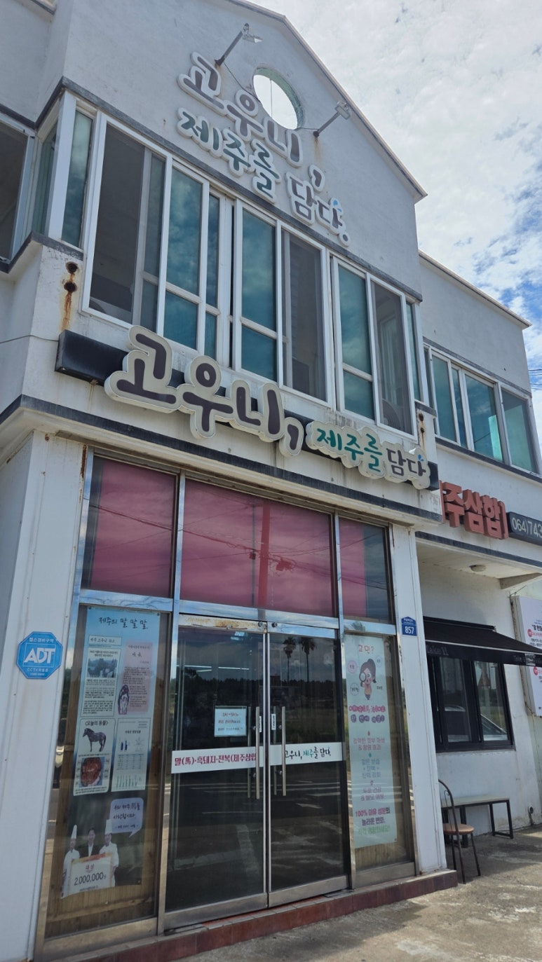 고우니 제주를담다 사진 8
