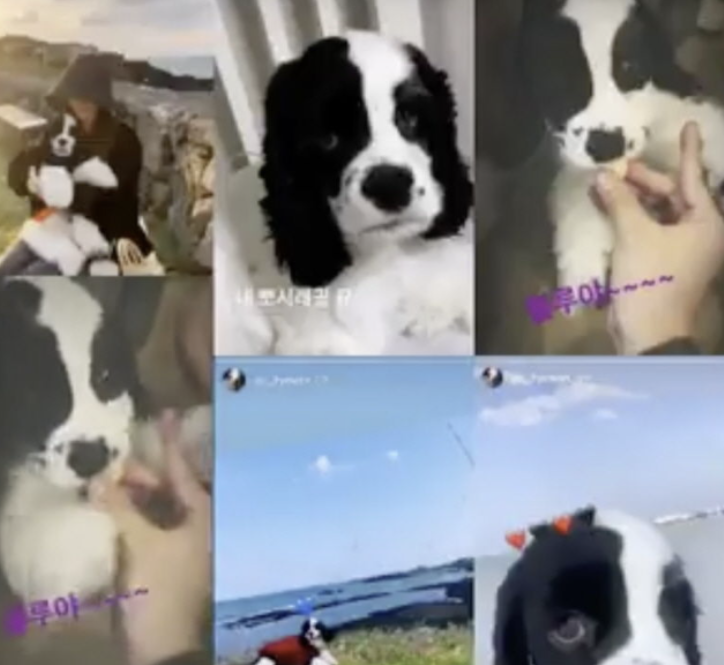 유명 가수 옥바라지만 5년 요즘 다시 관심이 커진 이유 이미지 1