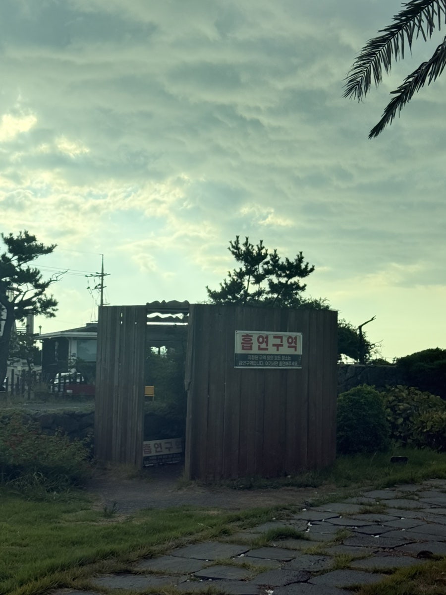 외도339 사진 2