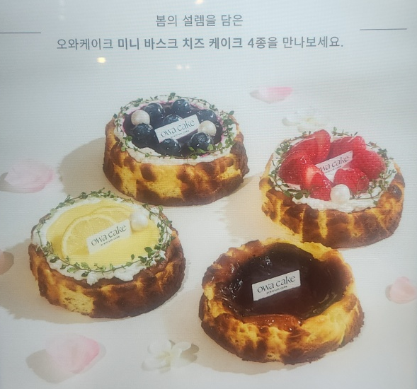 오와케이크 송도점 사진 8