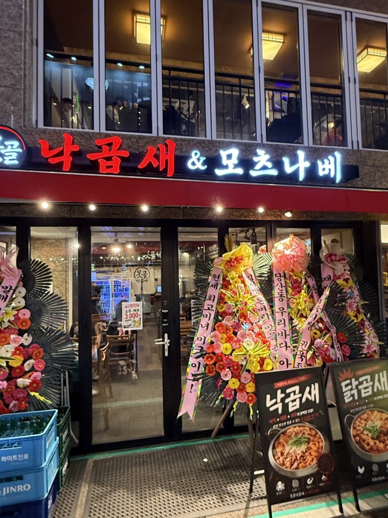 못골낙곱새 사진 5