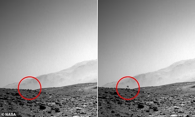 NASA 화성 사진에 찍힌 세 발 생명체 정말 외계인일까 한마디로 상황이 바뀌었다 이미지 2