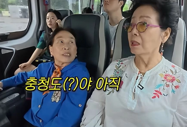 치매 전단계 전원주 괜찮은가요 지금 보니 느낌이 완전히 다르다~! 이미지 1