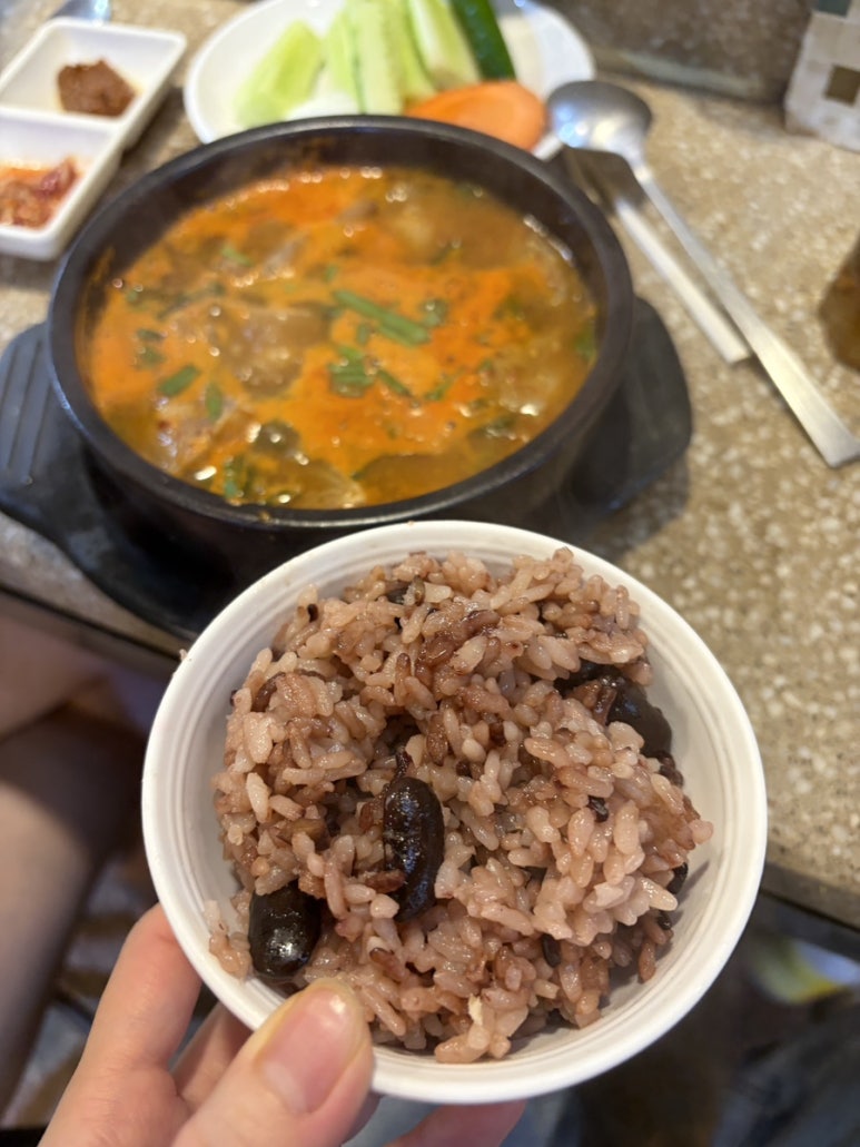 현정이네 사진 7