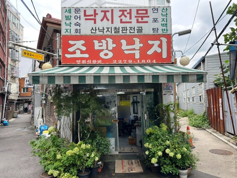 조방낙지 사진 7