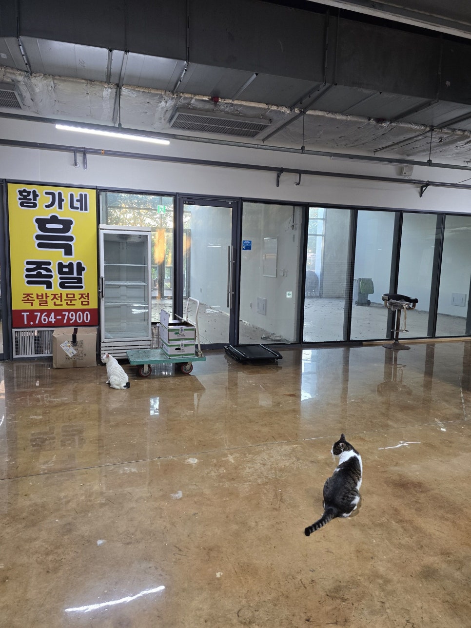 황가네흑족발 대표 사진
