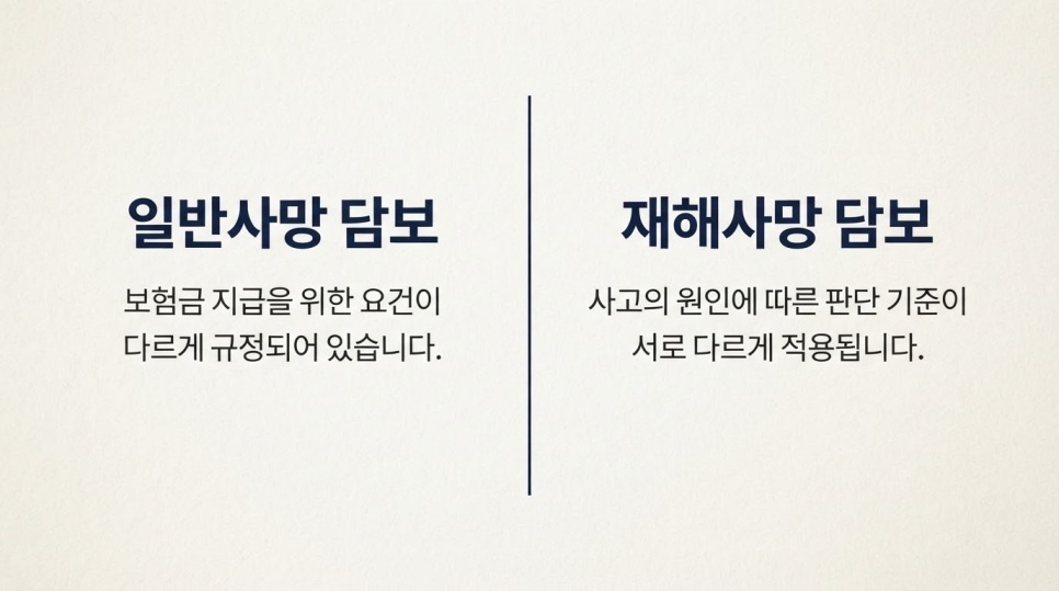 블로그 사진 11
