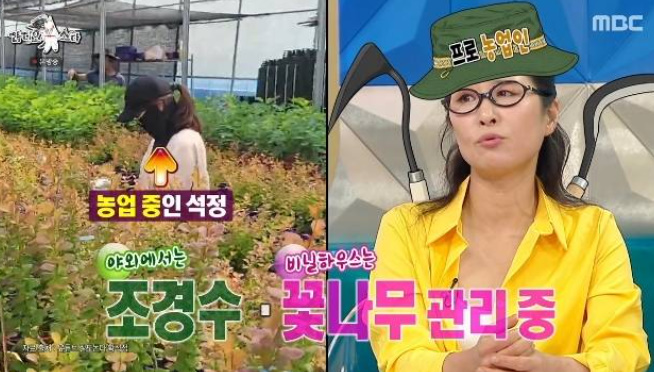 서울대 출신 배우 황석정 충격 가족사 고백 40대까지 엄마와 말 한마디 안 했다 이 한마디가 불씨가 됐다 이미지 3