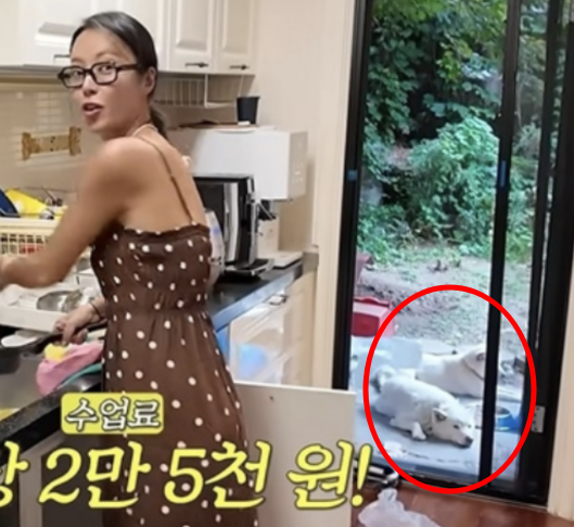 황정음 이번엔 노브라 논란 지금도 말이 계속 나오는 이유 궁금! 이미지 4