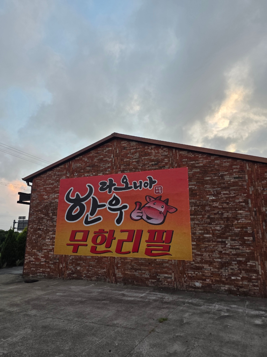 라오니아제주 사진 6