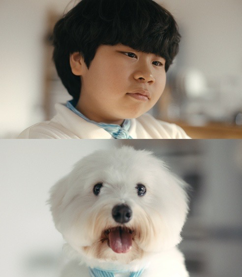 임영웅 또또 티저 김준 시월이