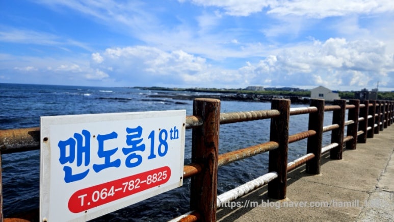 맨도롱18 사진 2