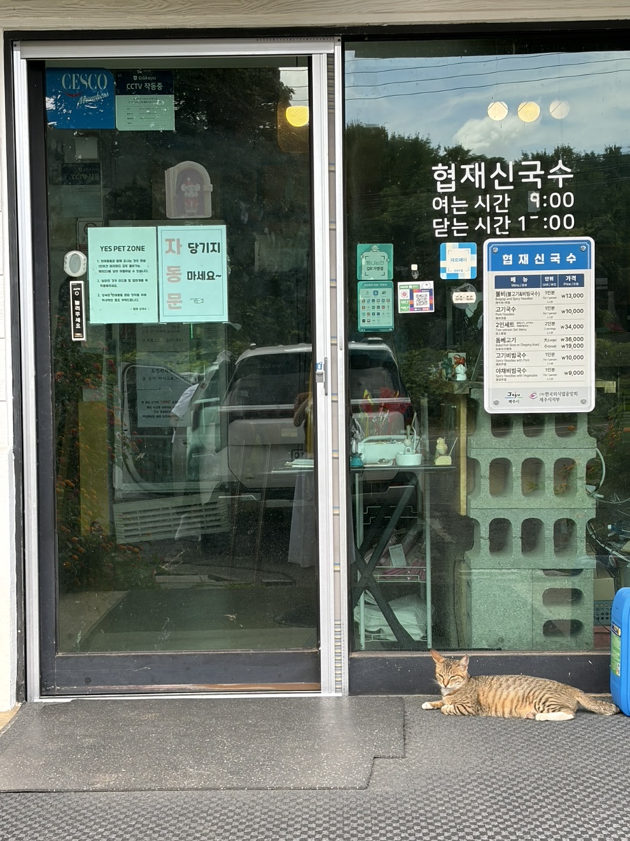 협재신국수 대표 사진
