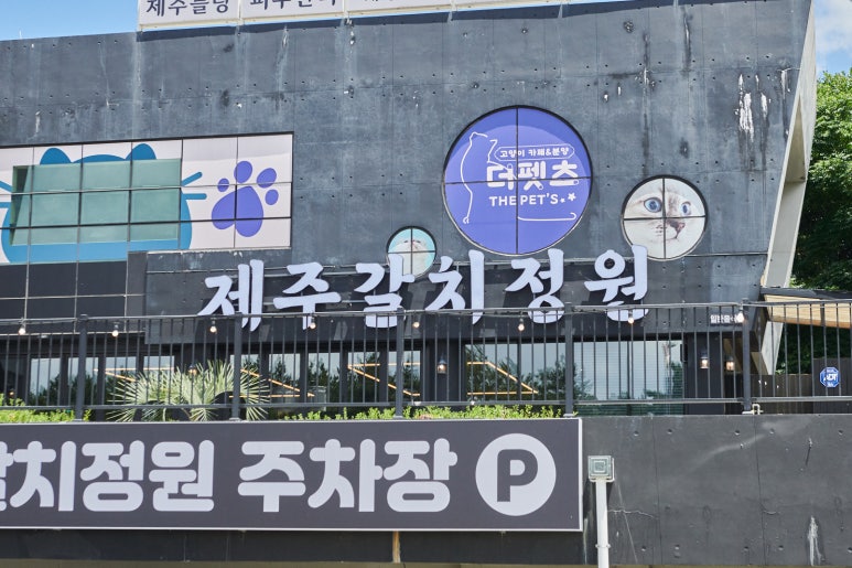 제주갈치정원 제주공항본점 사진 2