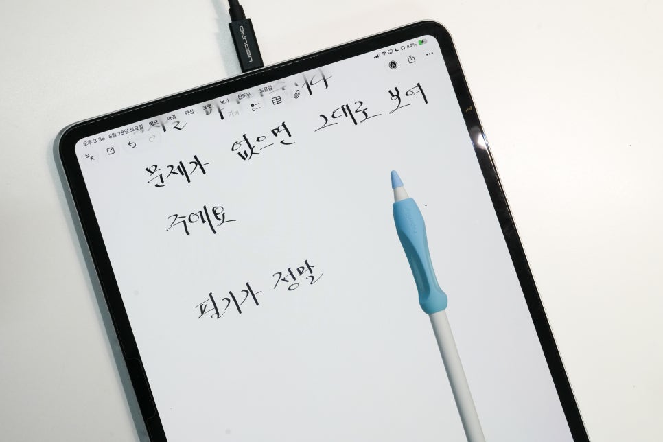 애플펜슬 펜촉 추천, 6개입 케이스와 펜촉 커버까지 챙긴 온더어스