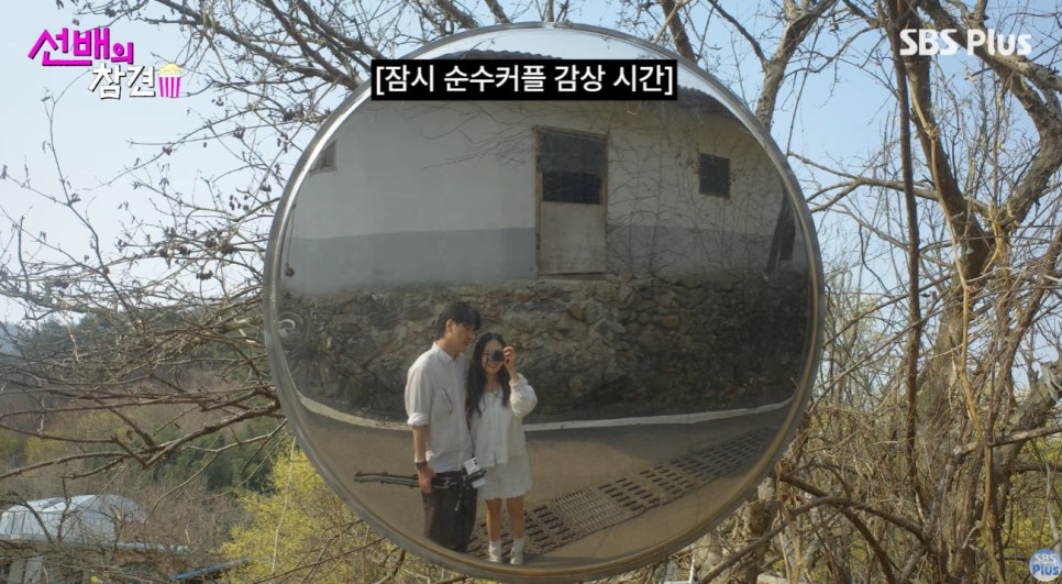 이렇게 달달했나 관계 변화에 말이 나온 이유는 이미지 1