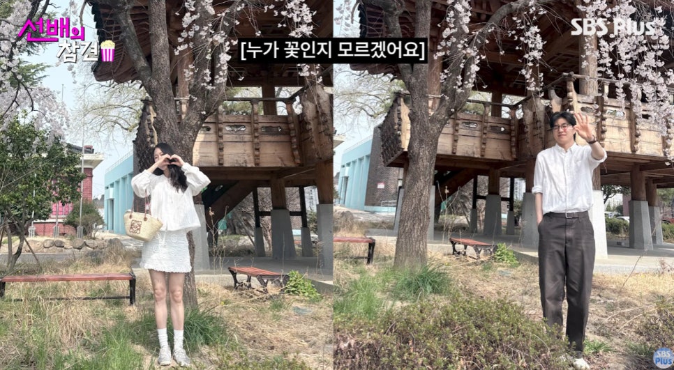 이렇게 달달했나 관계 변화에 말이 나온 이유는 이미지 6