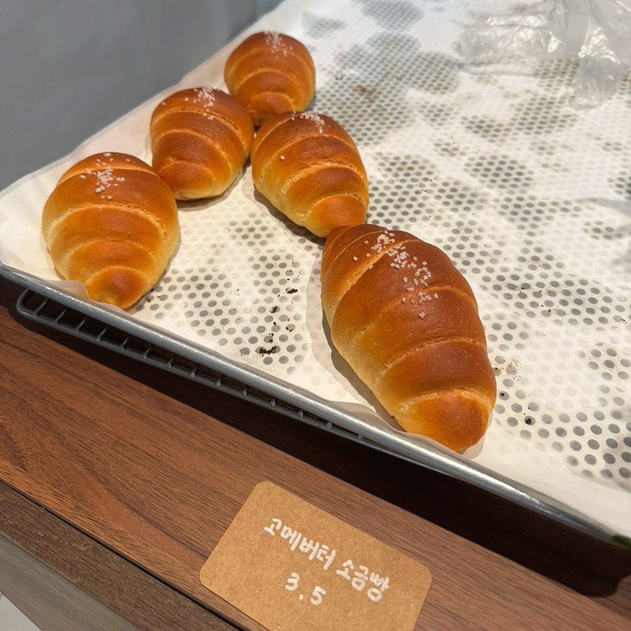 엠엠엠 사진 5
