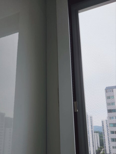 현장 사진