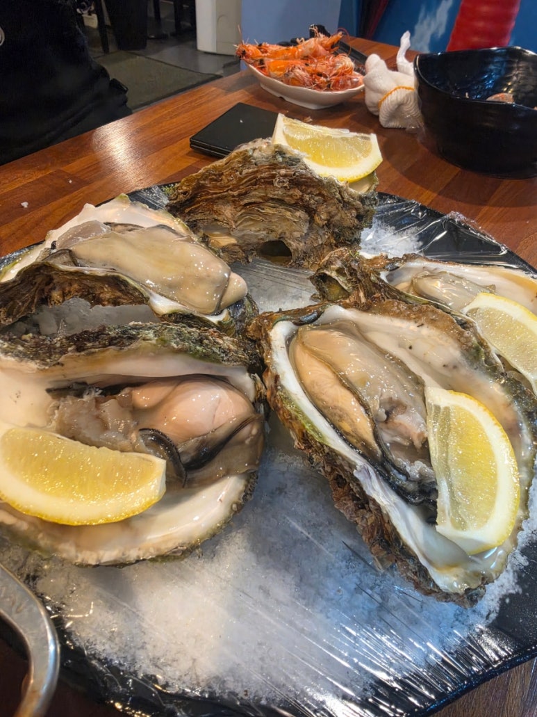 마산아재 사진 7