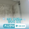 현장 사진