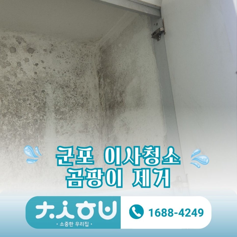 현장 사진