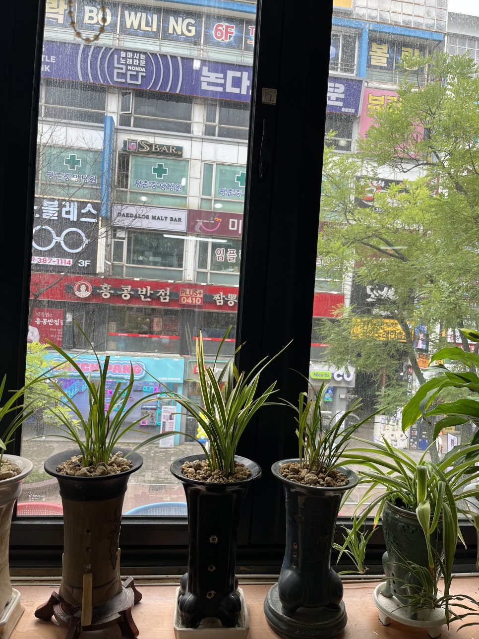 마포추어탕 사진 3
