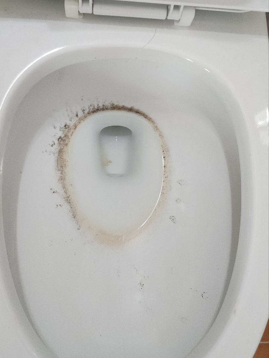 현장 사진