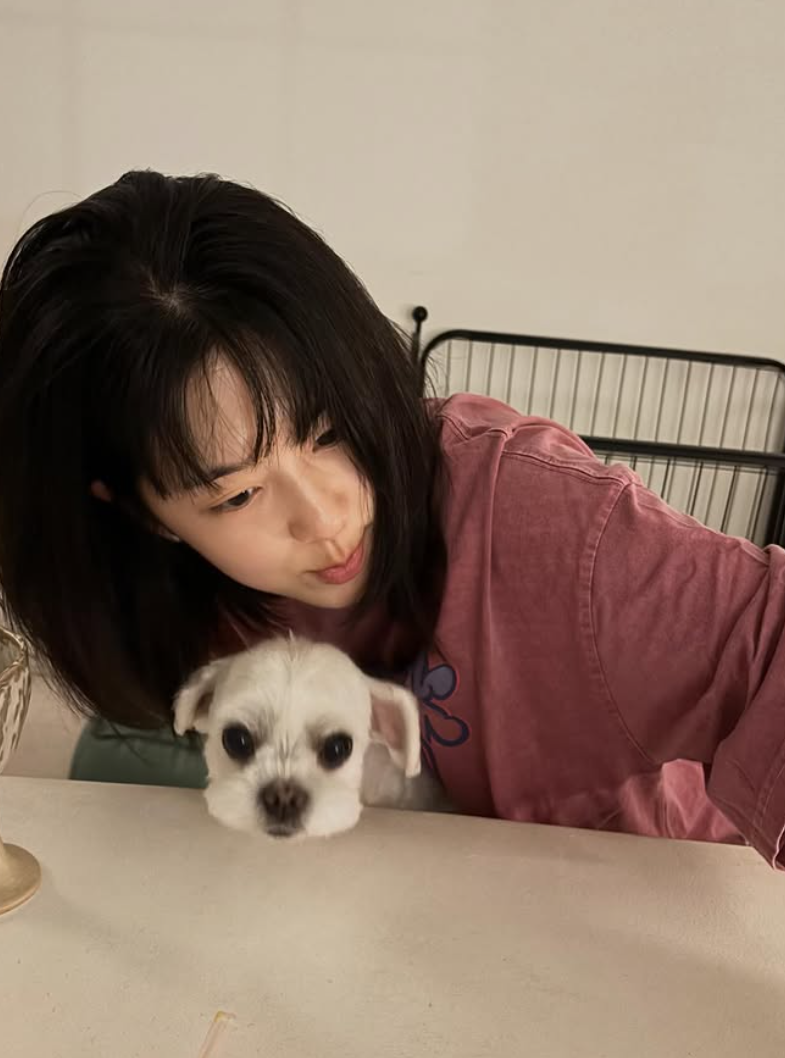 순수한 얼굴로 학폭했다고 집에 돈 많아서 유학으로 고대가고 파주 카페까지 차린 여배우 다시 화제가 되는 이미지 2