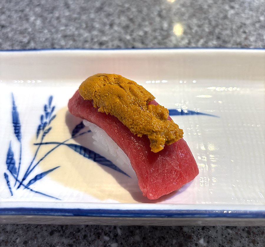 지중해참치 사진 8