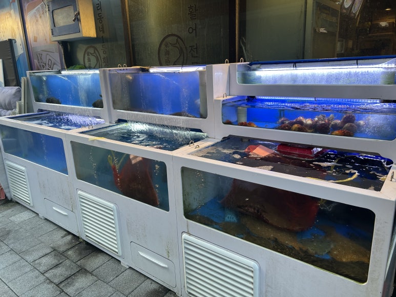동해막회 사진 7