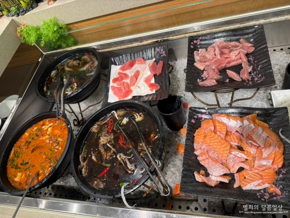 노원 가족모임 맛집 찾는다면? 사시미 예상과 전혀 다른 반응이 나온 이유 뭘까 이미지 6