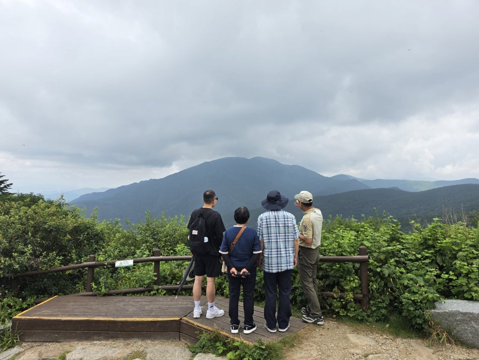 지리산 노고단 전망대 데크에 서 있는 탐방객들과 능선 풍경.