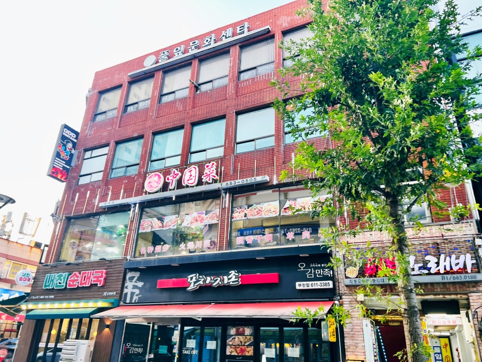 중국채 대표 사진