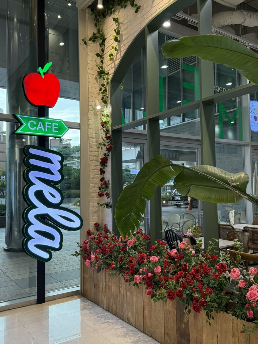 멜라 사진 8