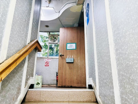 중국채 사진 6