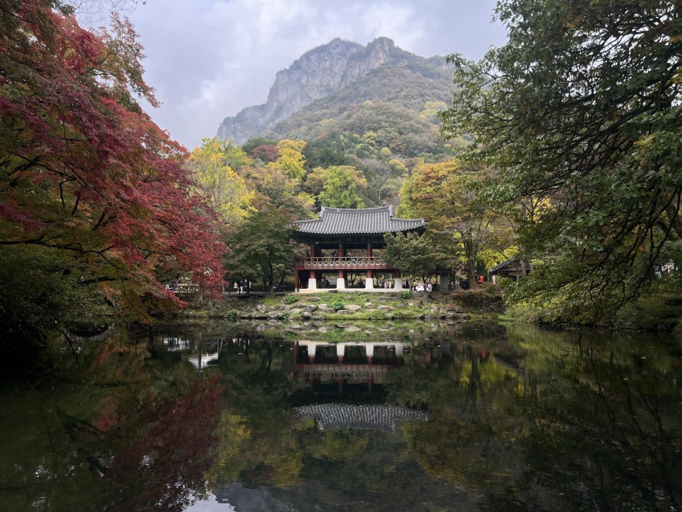 The Ssanggyeru pavilion and its pond at Baegyangsa, with the cliff of Baekhakbong and small red maples behind.