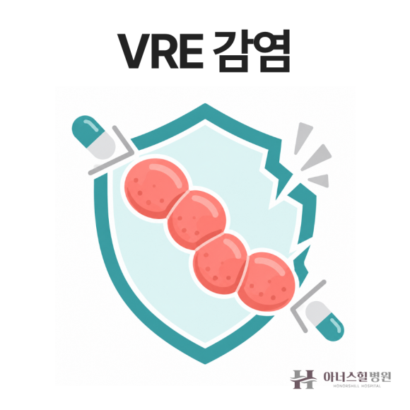 VRE 감염이란? 증상과 전파 경로