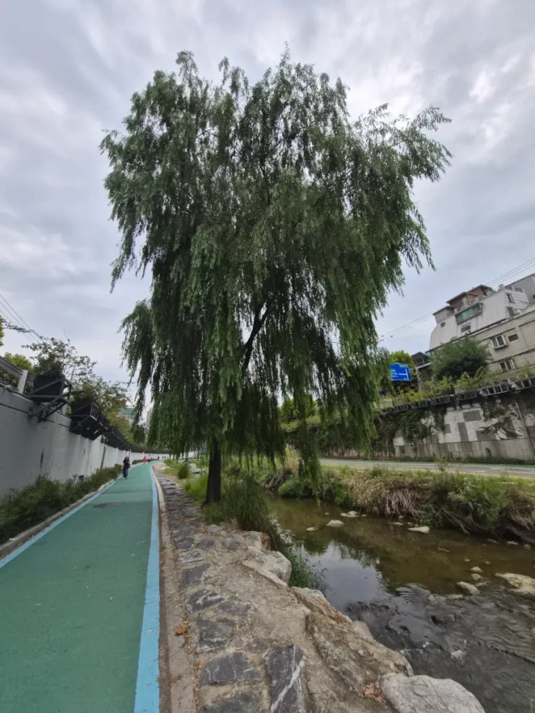 오적회관 신림역점 사진 4