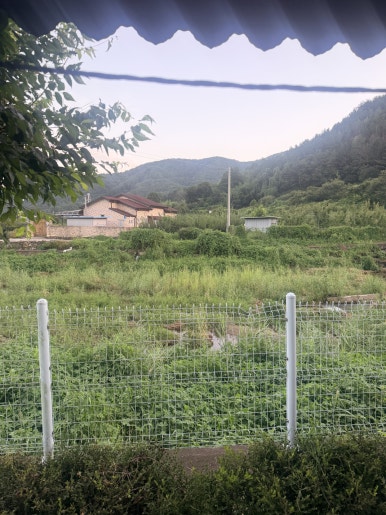 옴서감서 사진 4