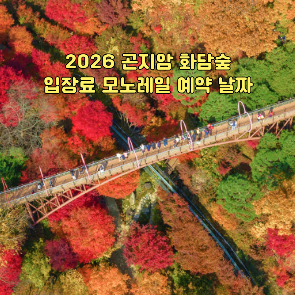 화담숲 입장료 단풍 절정기 숲길 전경