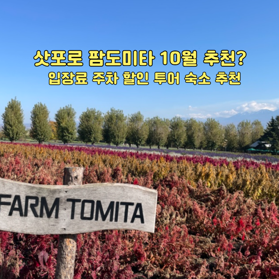 팜도미타 10월 가을 꽃밭과 간판, 썸네일 사진