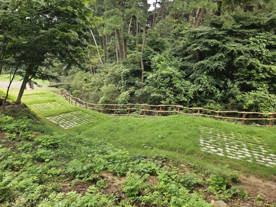 The forest path of Dongseo Trail section 4, an earth track running between trees.